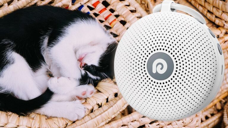 Get an Uninterrupted Night’s Rest with a Dreamegg White Noise Machine for Under 