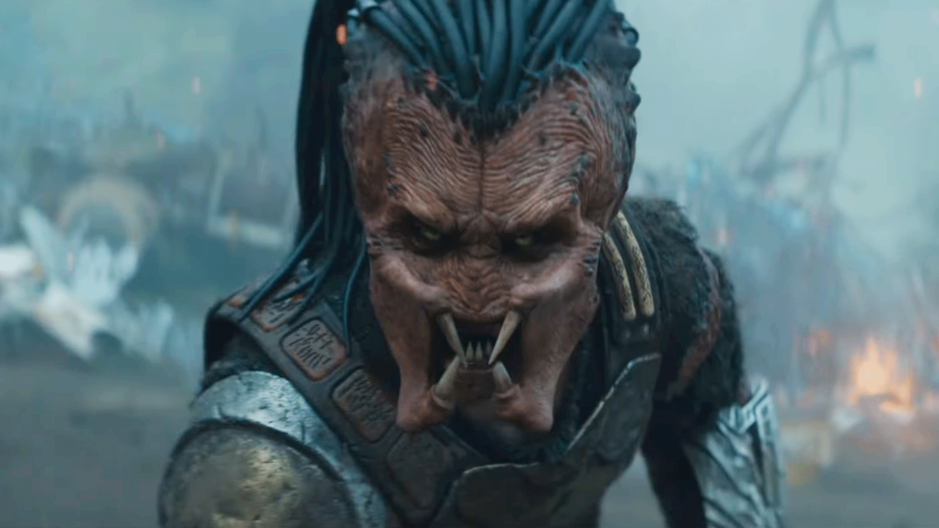 predatorthumb-1753114109046